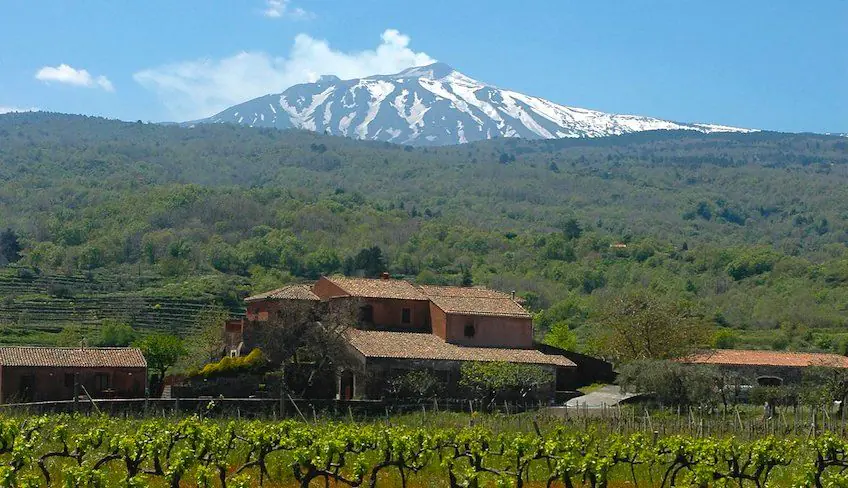 Планета (Planeta). Винодельни Сицилии. Сайт об итальянском вине.